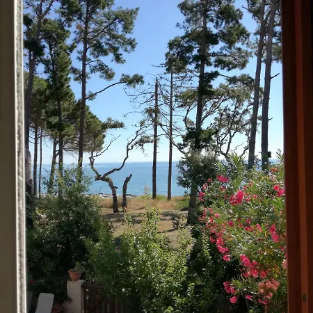 Bord De Corse 别墅 圣玛丽亚波焦