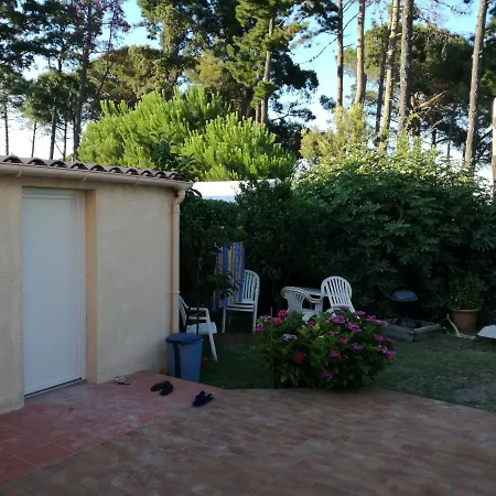 Bord De Corse *